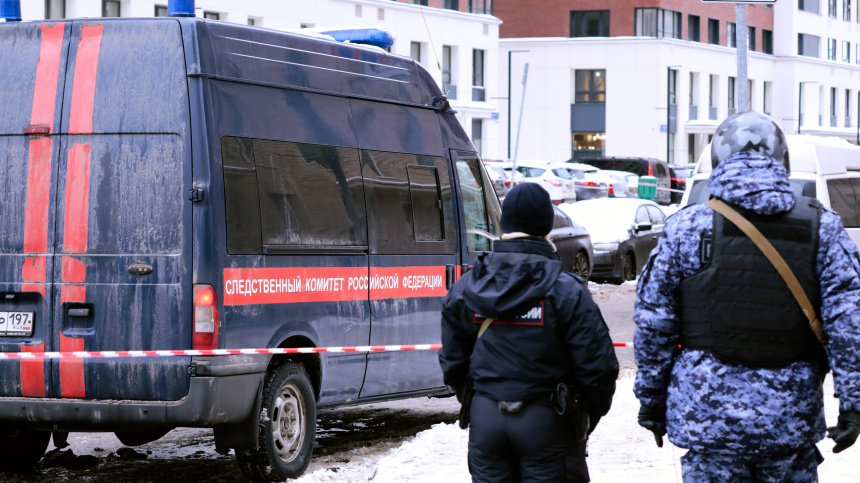    Фото: www.globallookpress.com/Roman Naumov; 5-tv.ru