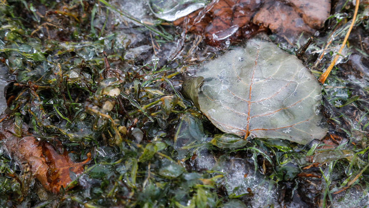    Фото: Антон Вергун
