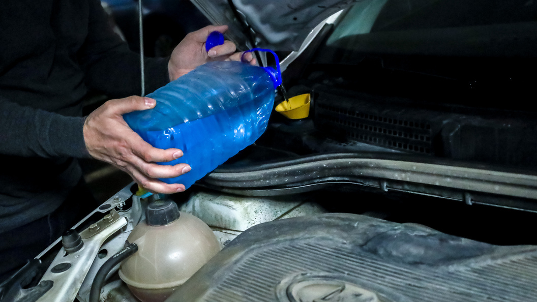    Фото: Elena Mayorova/Global Look Press/Globallookpress