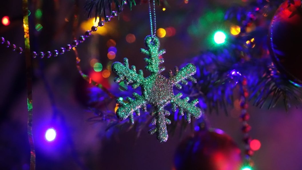    ФОТО: Царьград