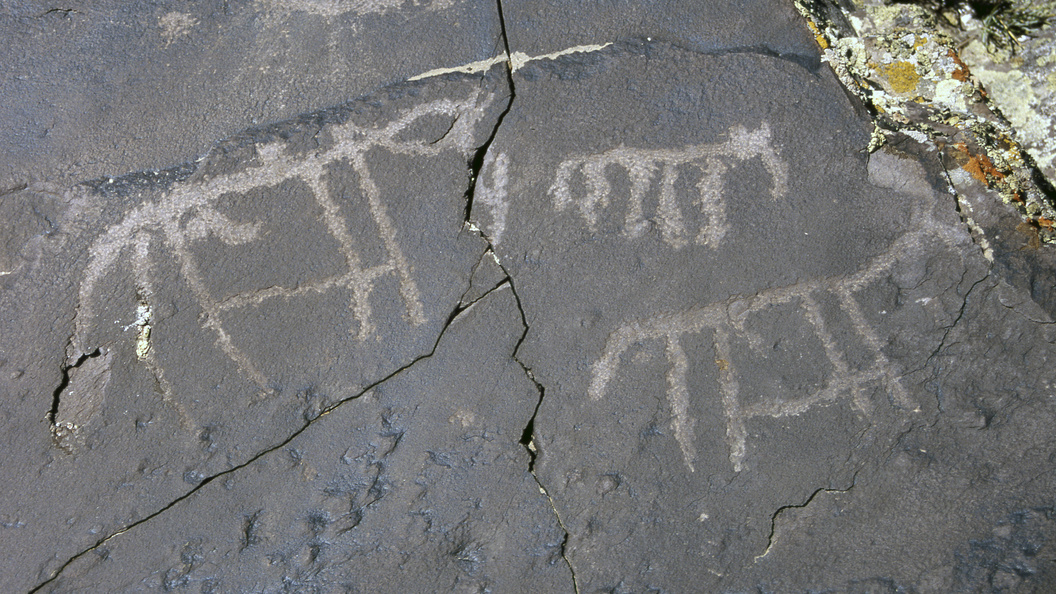    Boris Rezvantsev/Globallookpress