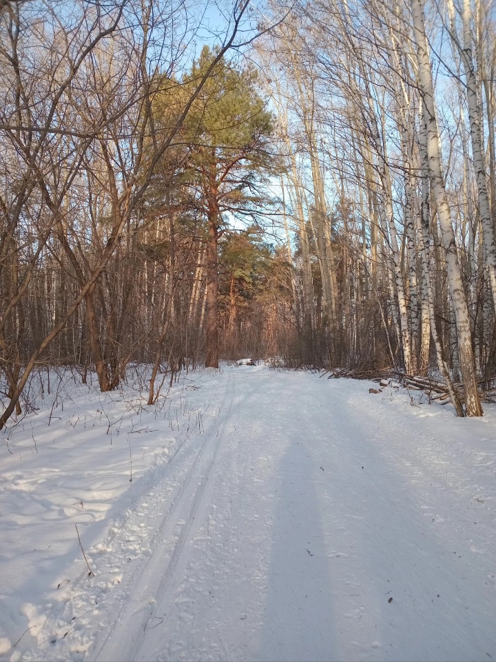 Лыжникам привет !