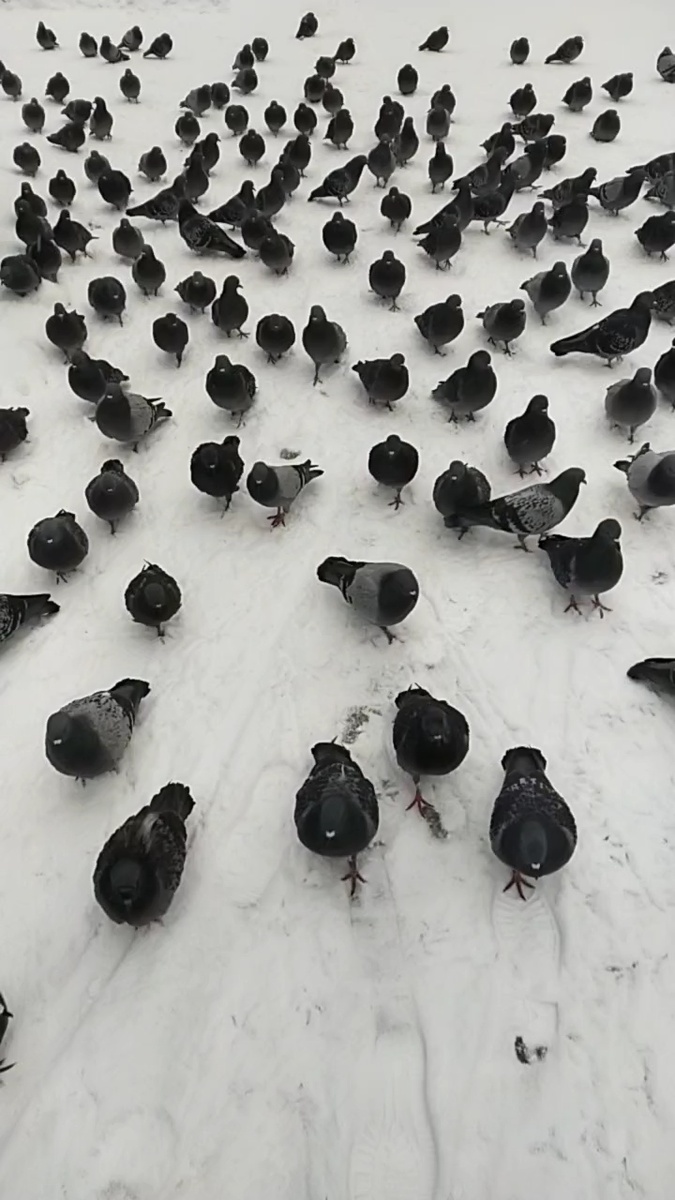 Личное фото