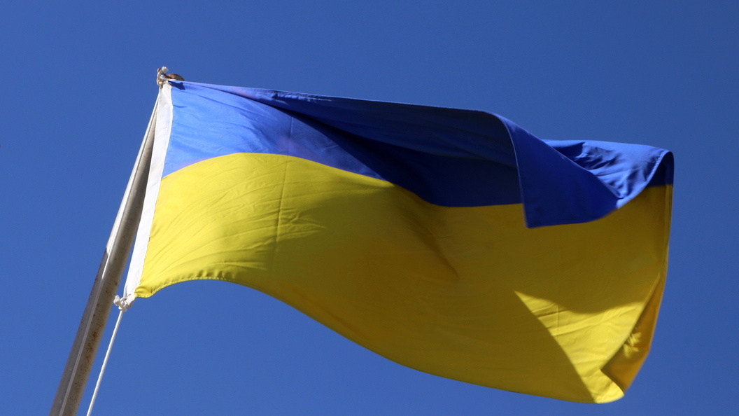    Фото: Maksim Konstantinov/Globallookpress