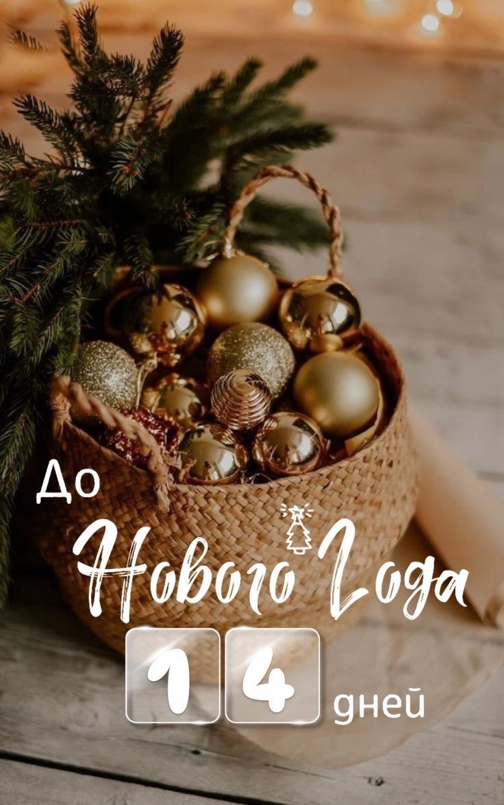 Картинка из сети Интернет