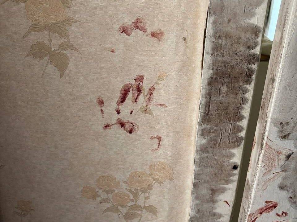     15-летний подросток из Железногорска признался в убийстве своей опекунши