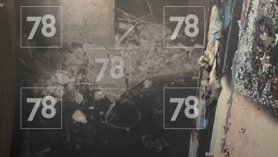    Автор фото: 78.ru