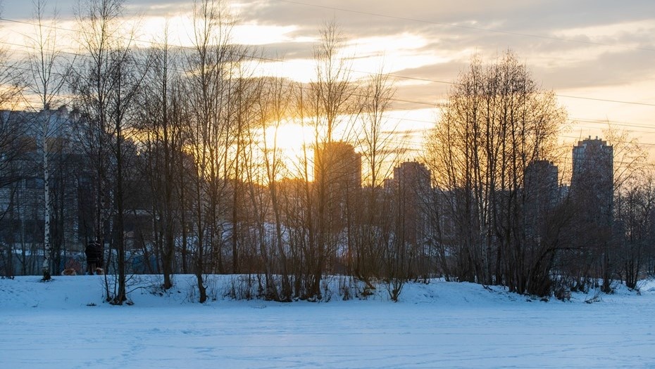    Автор фото: Сергей Ермохин / "ДП"