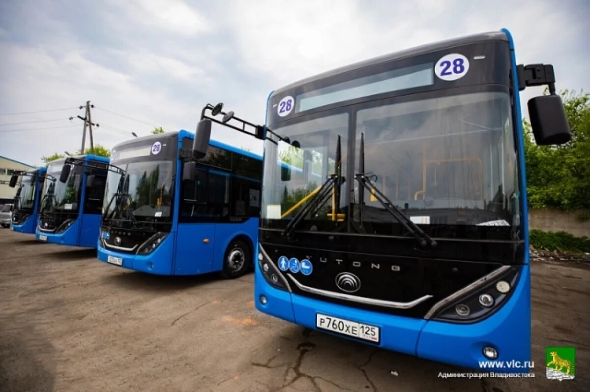    Иностранные граждане смогут водить автобусы с 2025 года