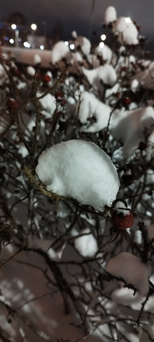 За окном глубокая ночь... 