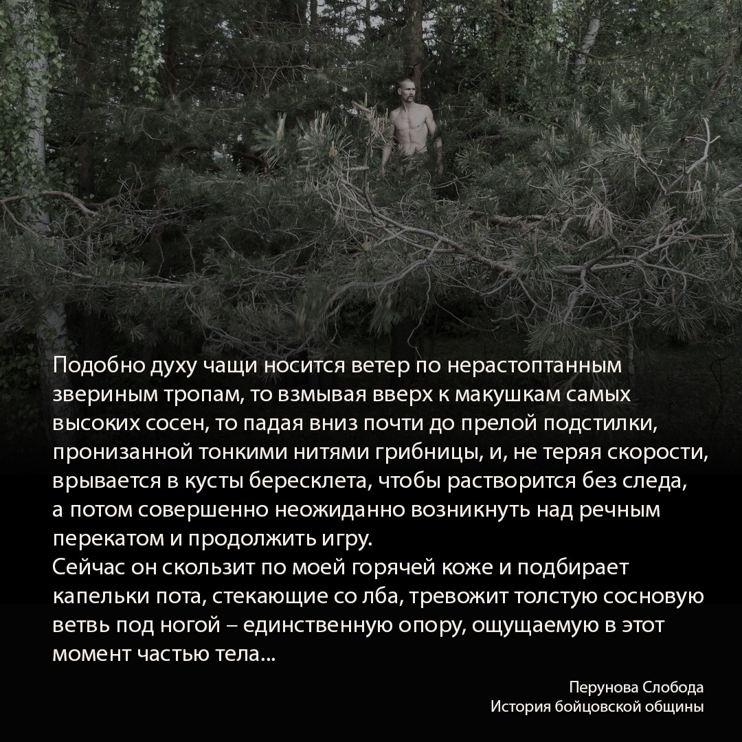 Книгу можно найти на Озоне или заказать через мой блог ВК