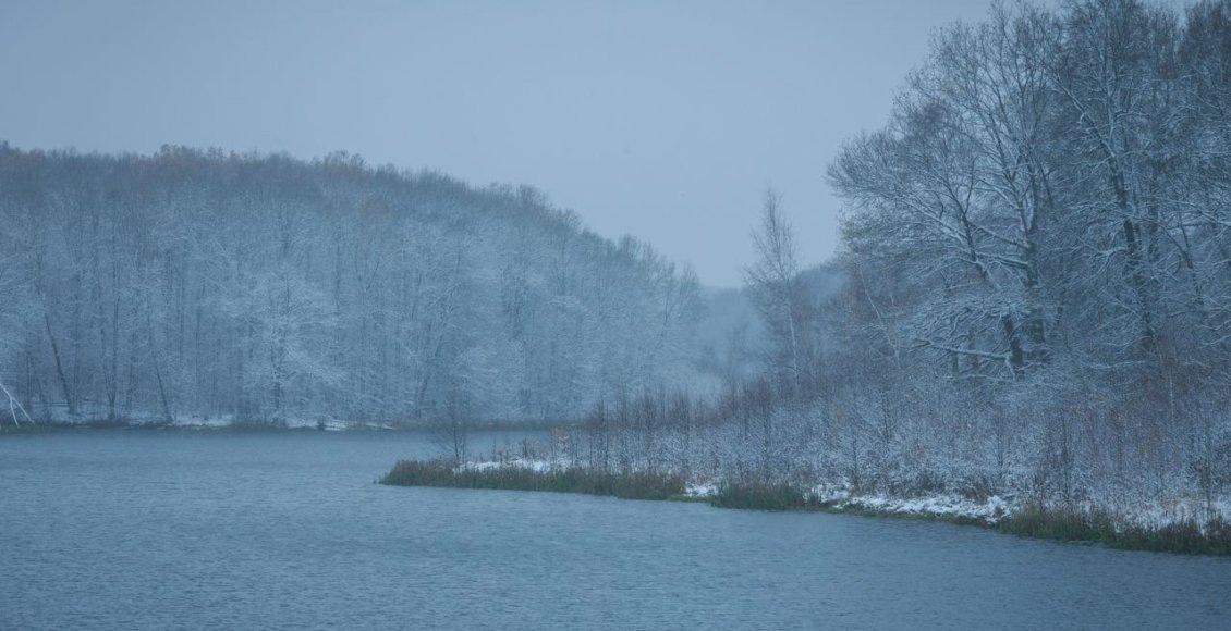    Фото: пресс-служба нацпарка "Тульские засеки"
