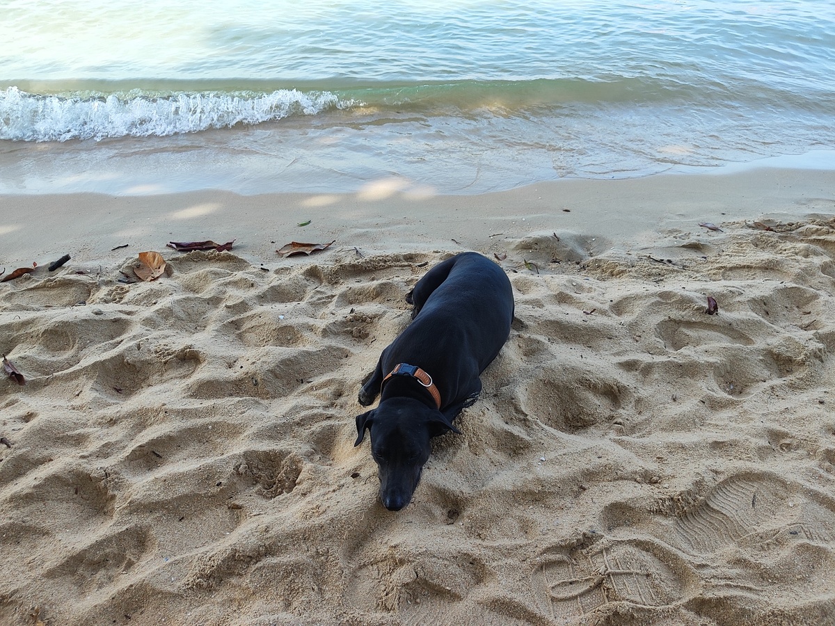 Наш пляж очень даже неплохой. Вот товарищ переусердствовал с загаром.