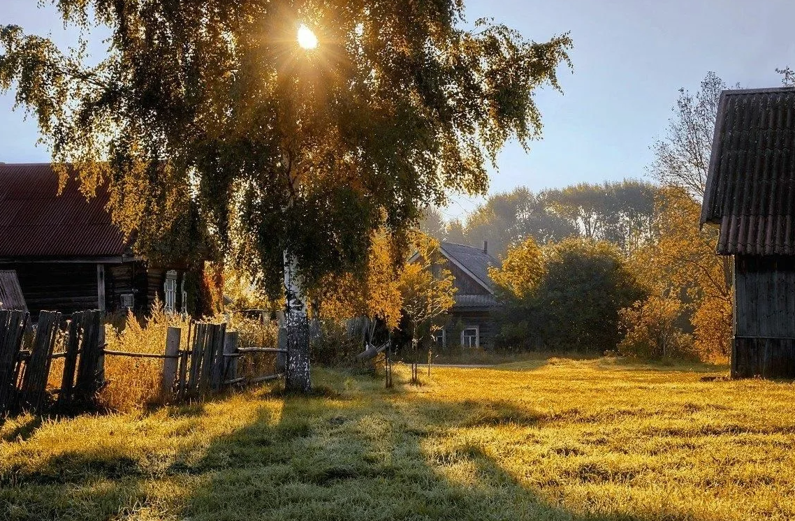 Яндекс картинки