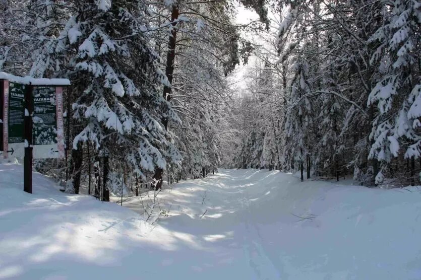 Фото: Национальный парк «Таганай»