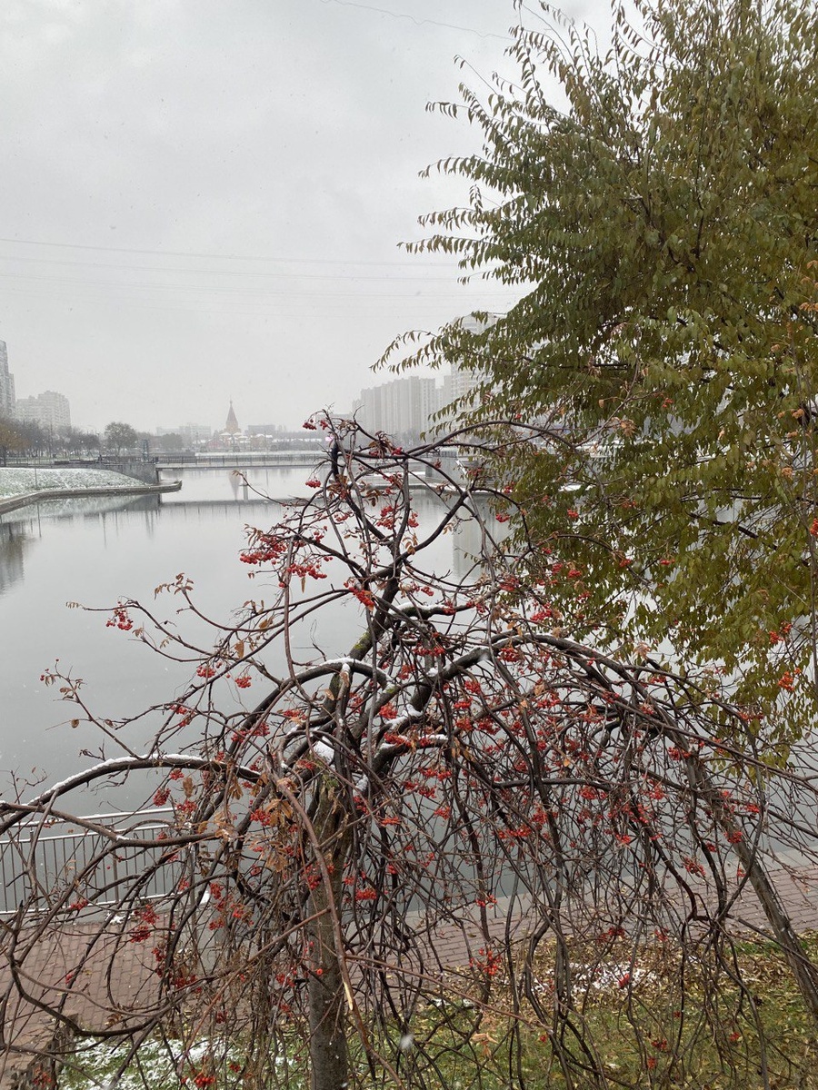 фото автора канала