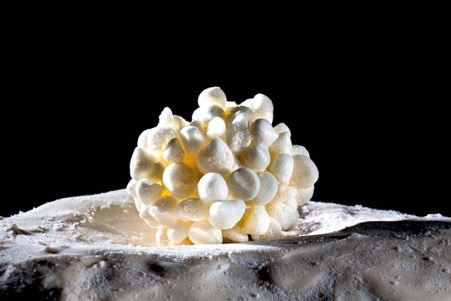 Дышащая платина Фото взяты с сайта https://www.cacao-barry.com/