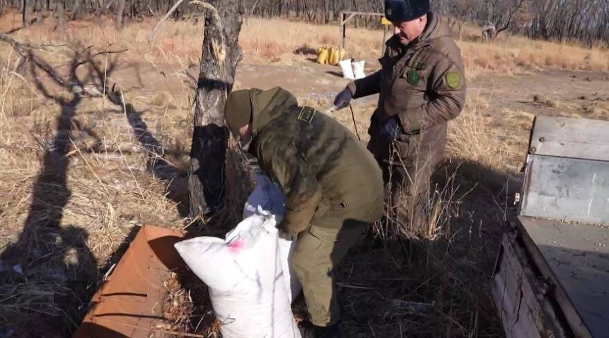    Источник фото: