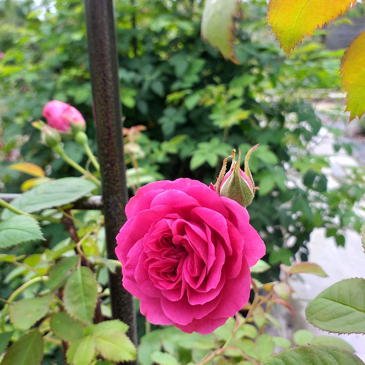 Каховка, фото автора