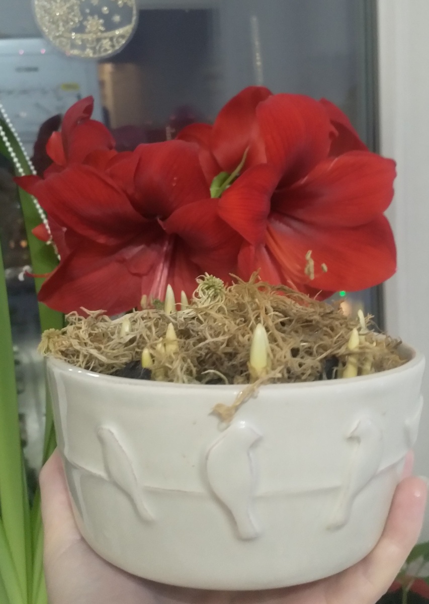 Вот он, цвет!