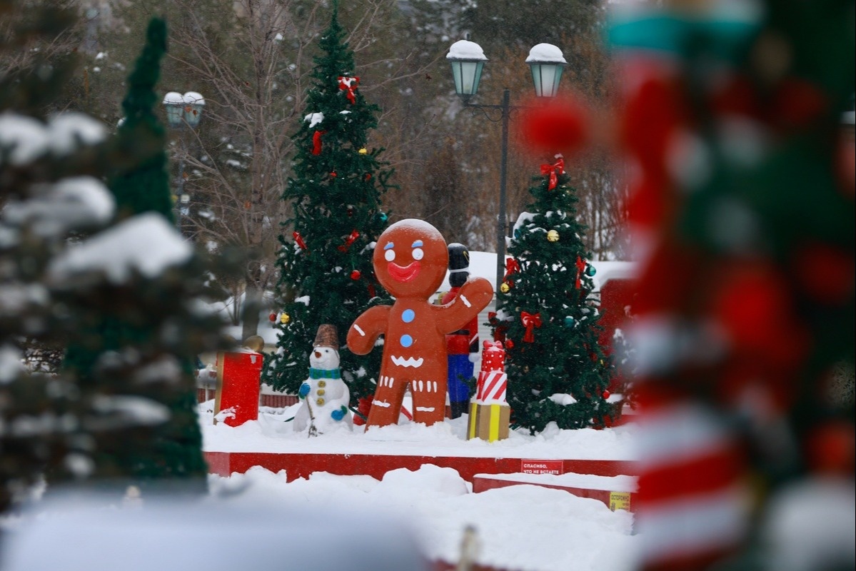 Автор фото: Павел Хацаюк / ИД «Вечерняя Казань»