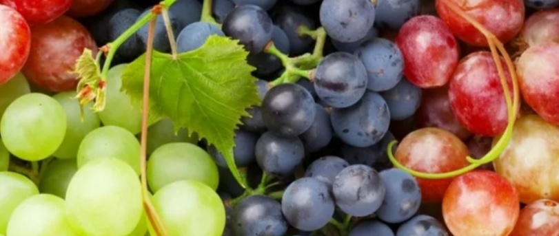 Фото из открытых источников интернета 