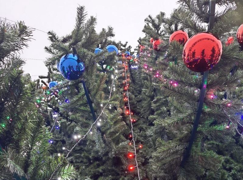    крым 24 Elena Maltseva