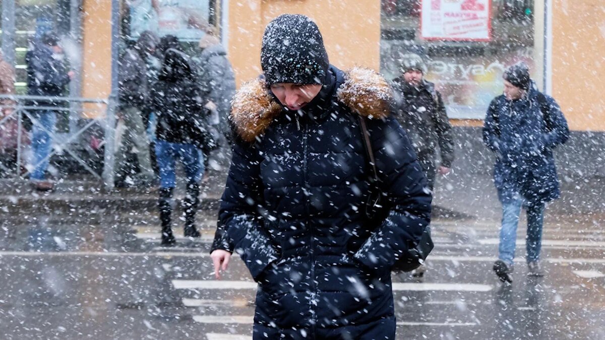    Фото: Деловой Петербург