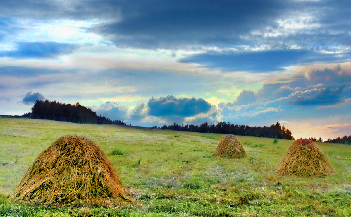 Фотография, стихотворение Василия Глуцкого