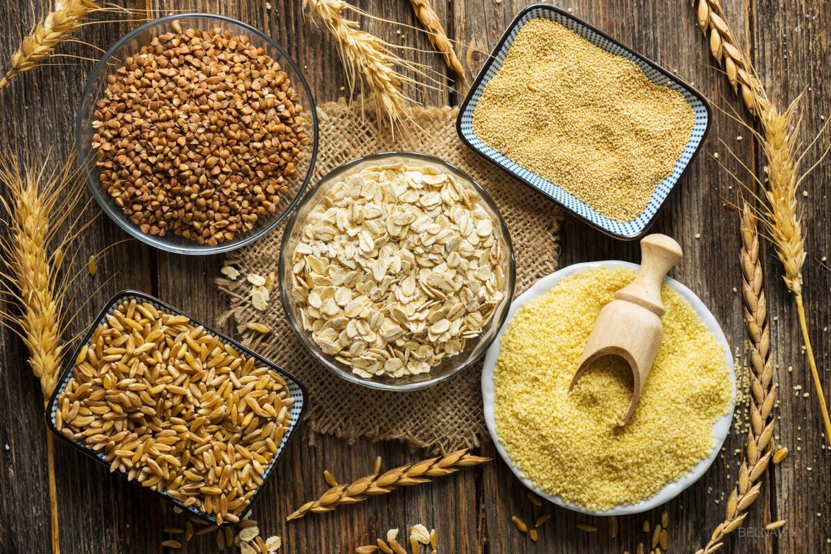 Автор: https://invest-chechnya.ru/