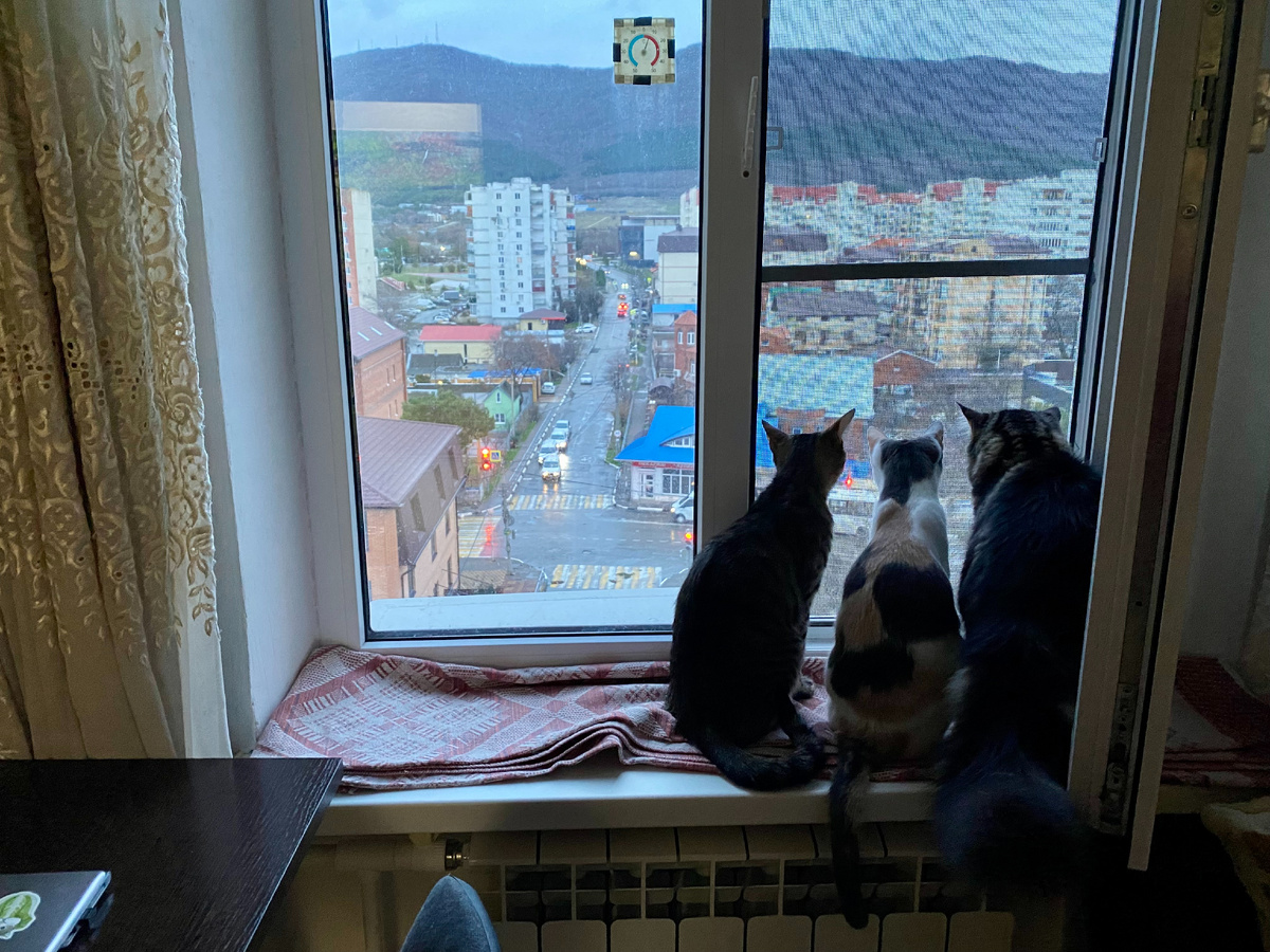 Вы только посмотрите на этого крепыша!