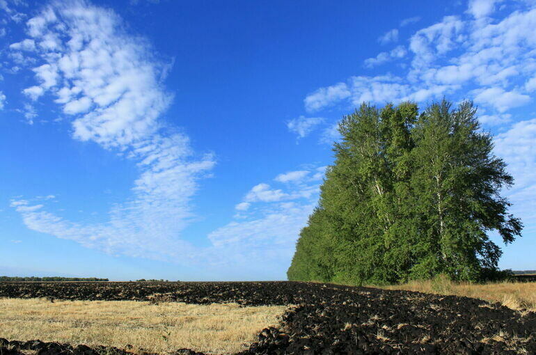   Юрий Инякин/ПГ