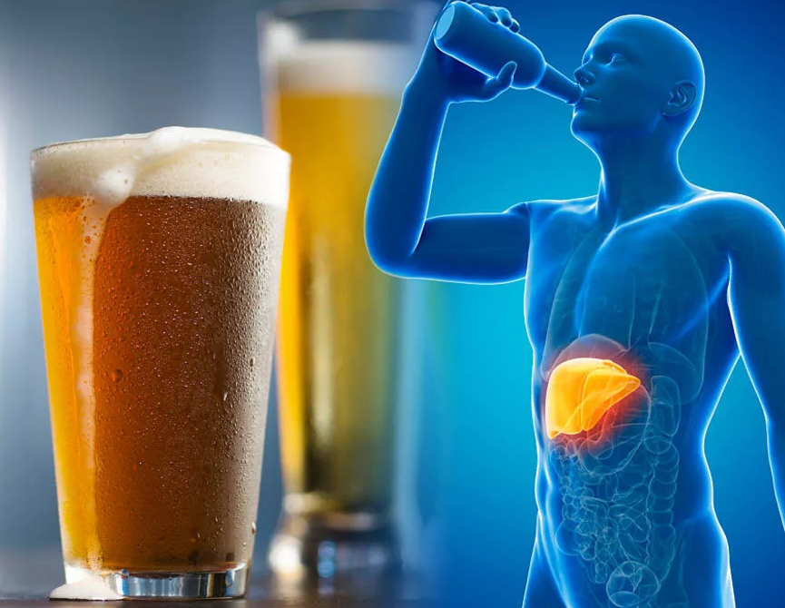 Влияние алкоголя на печень и ЖКТ