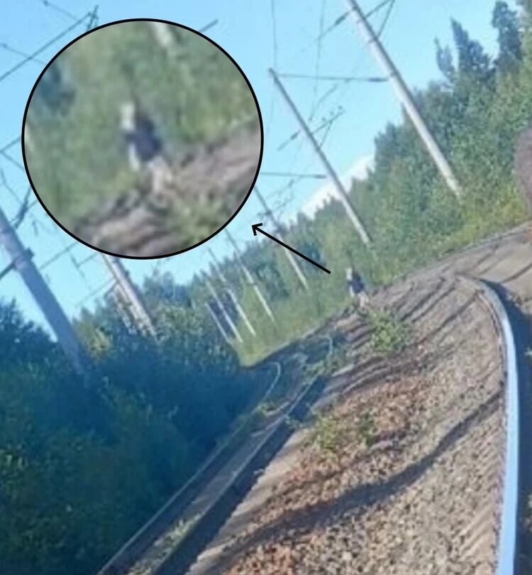 Последнее фото, на которое случайно попала пропавшая