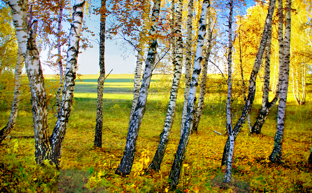 Фотография, стихотворение Василия Глуцкого