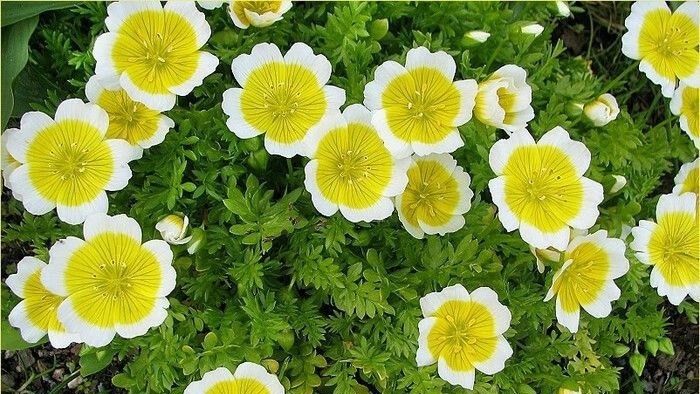 Фото с pinterest.com