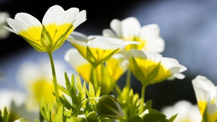 Фото с pinterest.com