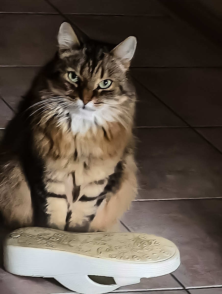 фото канала "ГОВОРИМ ПО-РУССКИ:УРОКИ СОВЕСТИ"