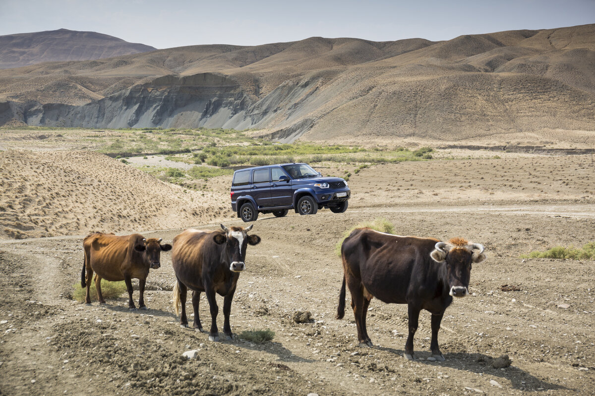 УАЗ Патриот