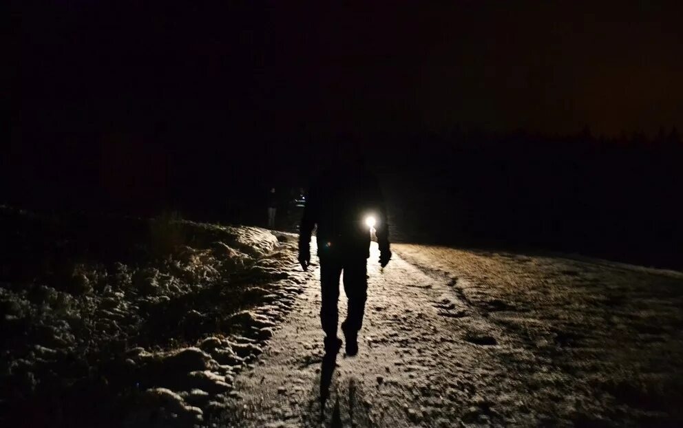 Изображение из открытых источников Яндекс 