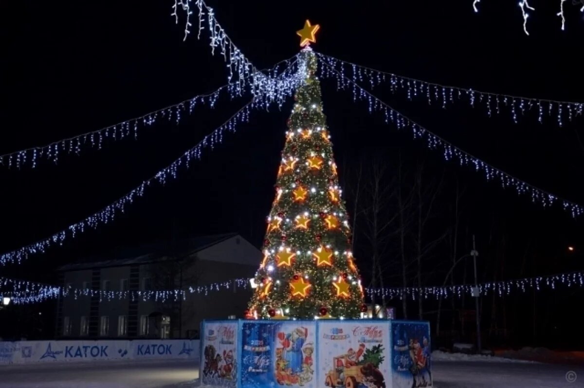    На площади Мира в Барнауле поставили новогоднюю ель