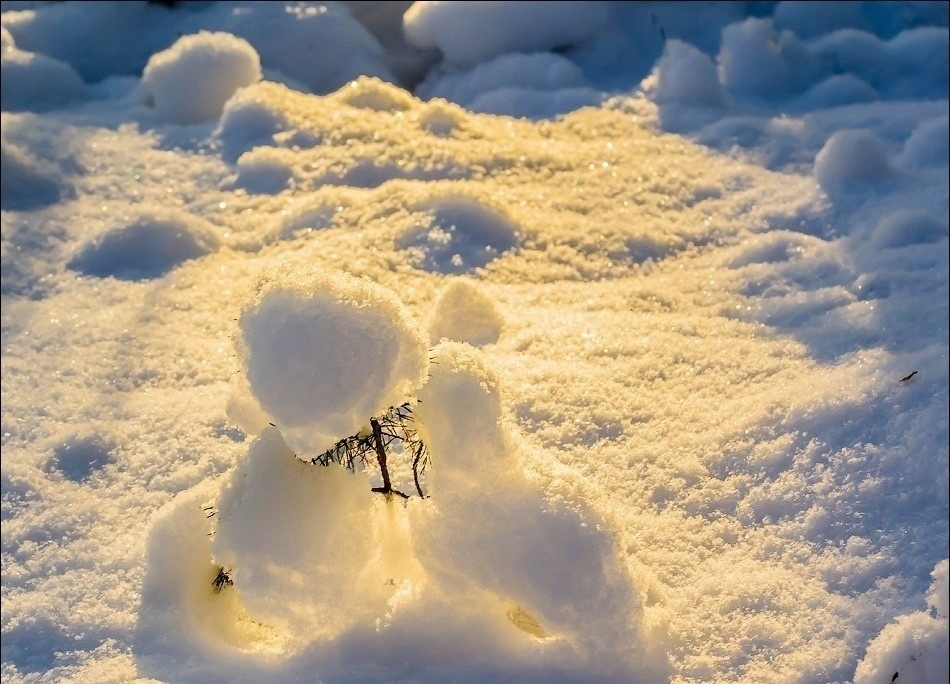 Фото с сайта pinterest.com