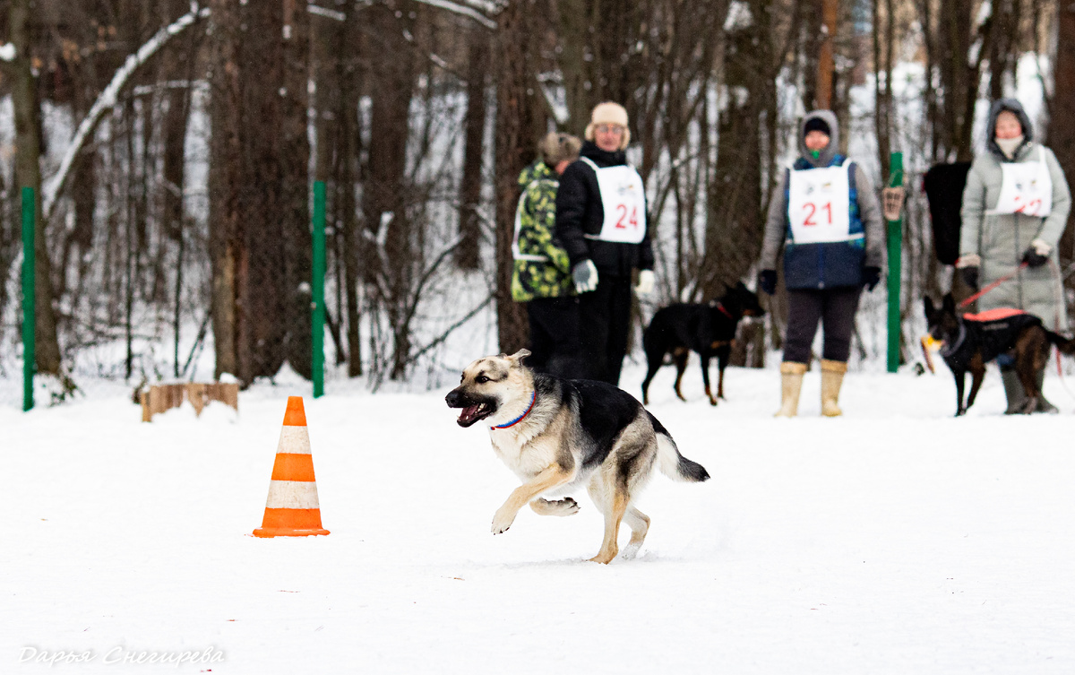 Давай-давай!