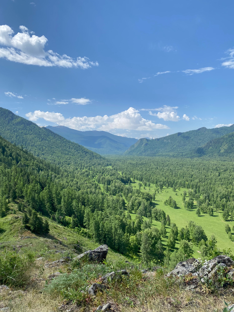 Уймонская долина, фото автора