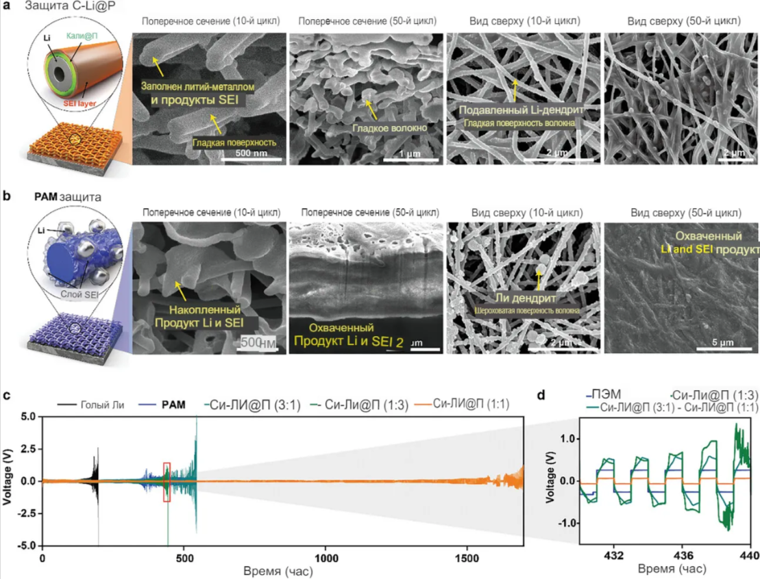 Межфазные и бифункциональные свойства защитной мембраны C-Li@P. a,b) Схематическое изображение и виды поперечного сечения и сверху (a) мембран C-Li@P и (b) P после 10-го и 50-го циклов. c, d) Профили напряжения симметричных элементов, оснащенных голыми Li, P мембранами, C-Li@P мембранами и c) тремя различными мембранами с различным соотношением CMGG-Li и PAM. d) Увеличенный профиль за период с 430 по 440 час при плотности тока 1 мА/см−2 и ёмкости 1 мАч/см−2.