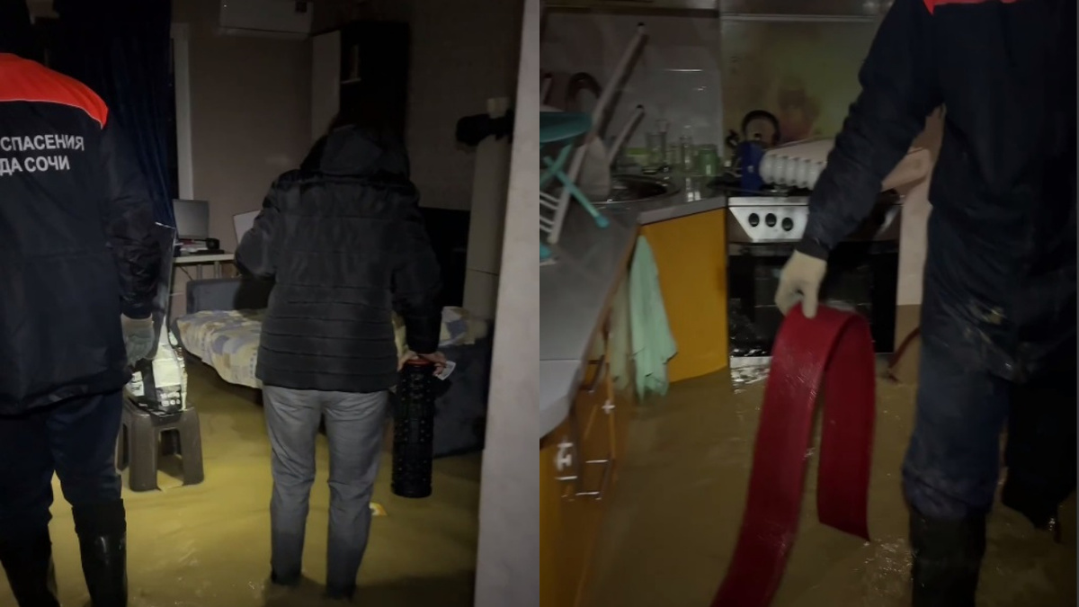    Фото: Telegram/Служба спасения Сочи