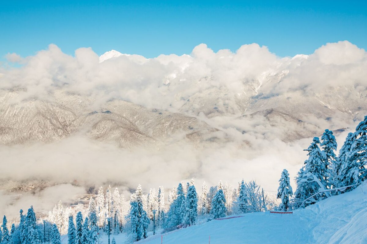    Фото: пресс-служба горного курорта «Красная Поляна»