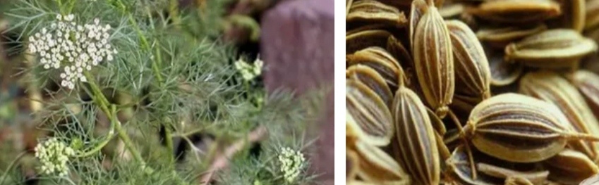 Все фото взяты из открытых источников интернета