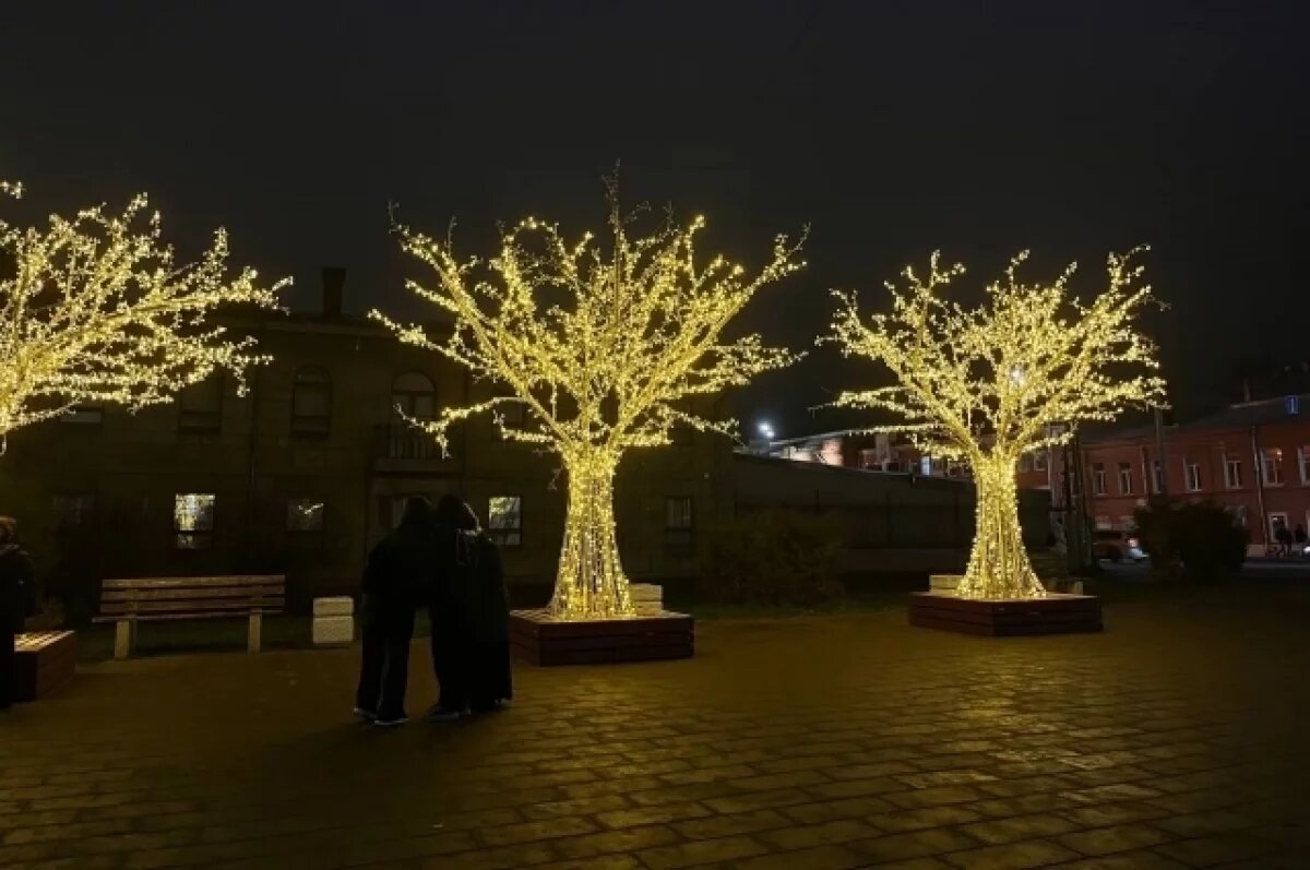    В Ярославской области стартовал конкурс на лучшее украшение дома