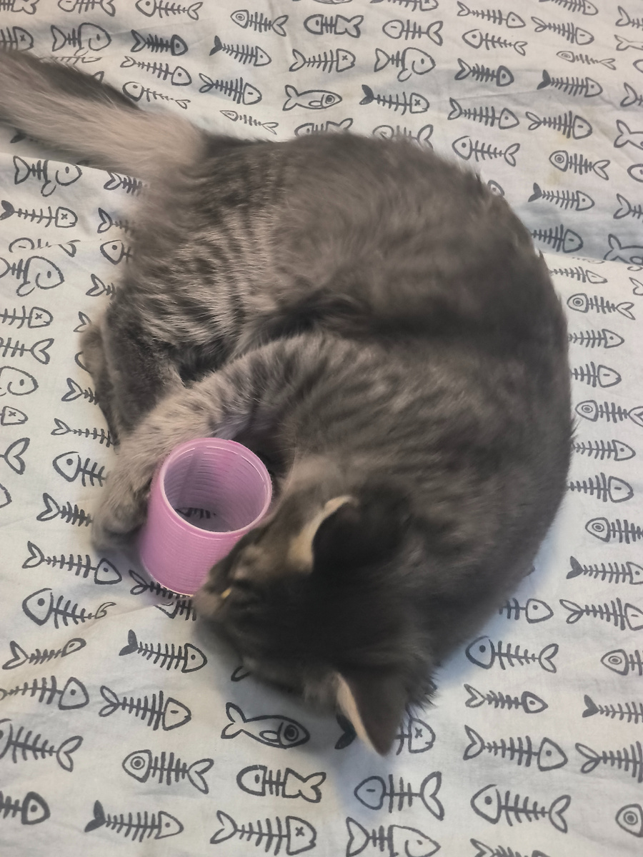 Бася помогает изо всех своих кашачьих сил. 